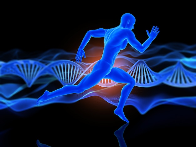 Unlocking the Potential of Peptides for Muscle Recovery